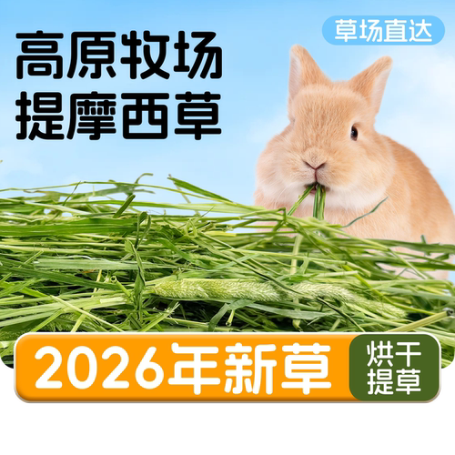 特级烘干北提摩西草整草草段