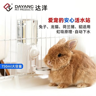 达洋兔子饮水器水壶专用喝水器龙猫荷兰猪貂悬挂式外置水壶5206
