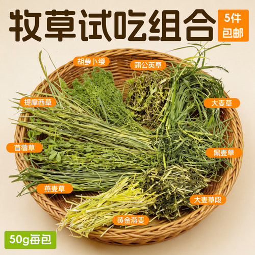 兔兔窝新草兔子试吃干草营养补充