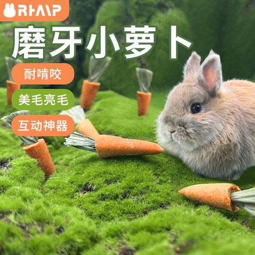 兔子磨牙提草小萝卜兔子磨牙玩具