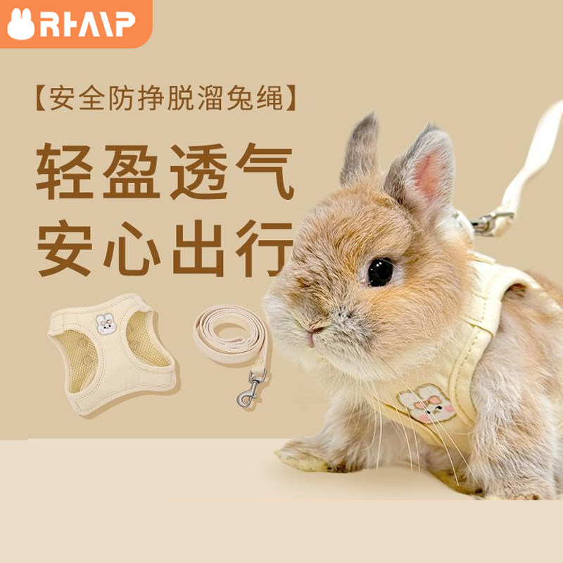 兔子牵引绳溜兔绳可爱背心式防挣脱舒适外出绳子龙猫豚鼠荷兰猪