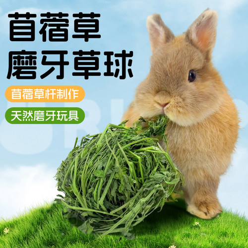 苜蓿草球宠物解闷玩具