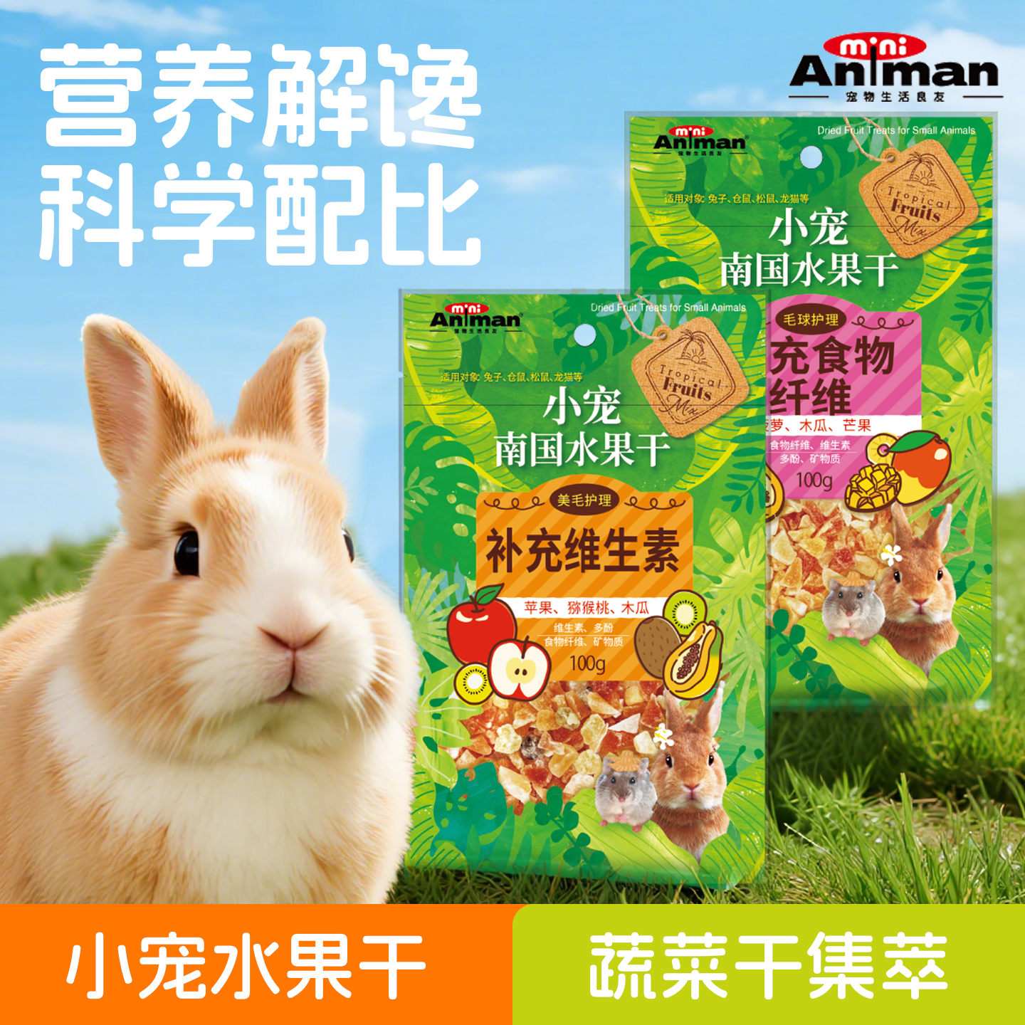 爱妮漫小宠南国水果干