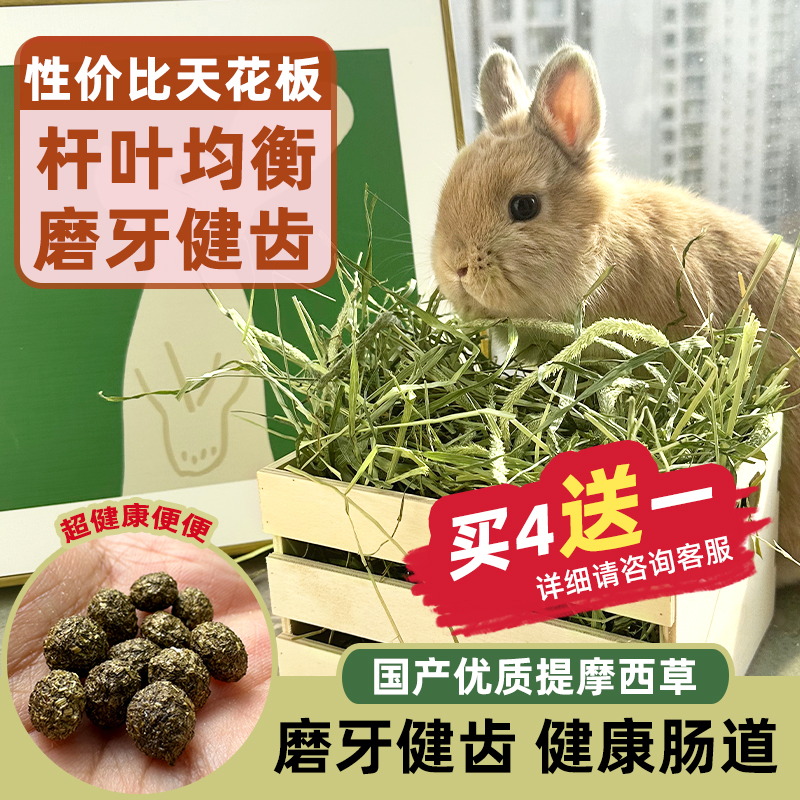 提摩西草烘干兔子草兔子饲料豚鼠