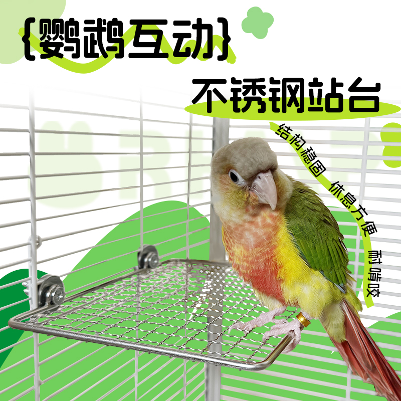 鹦鹉站台不锈钢平台休息跳台