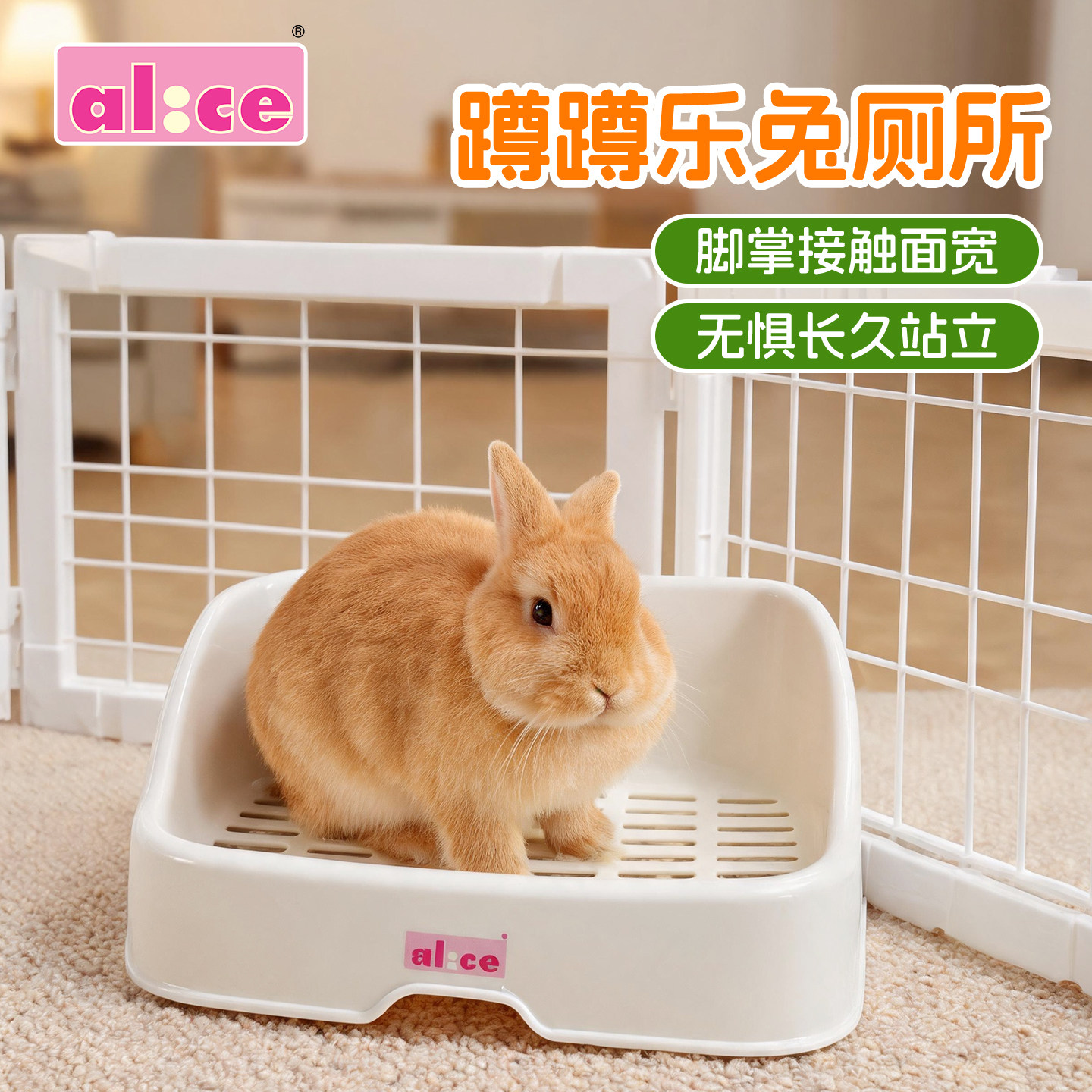侏儒兔厕所专用大号幼年兔子豚鼠厕所 Alice蹲蹲乐防污易清洗防咬