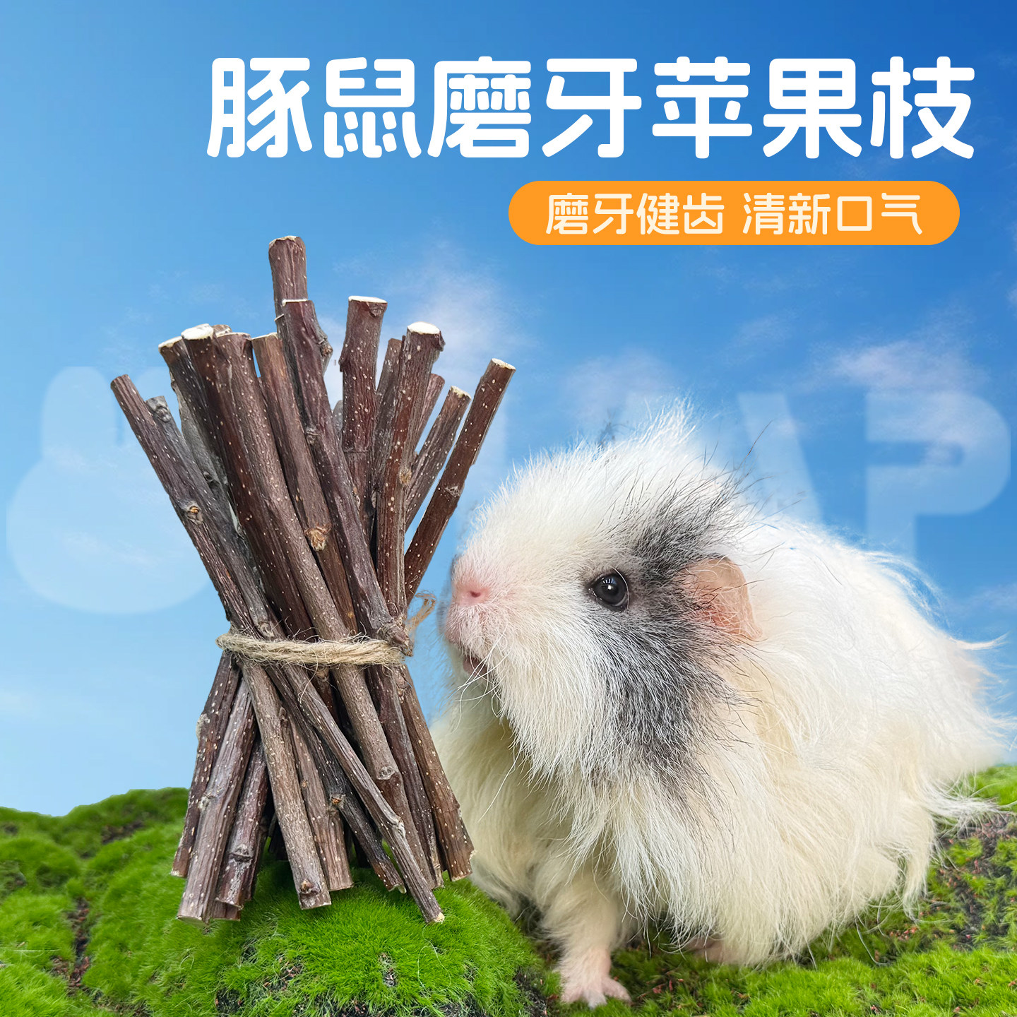 天然苹果枝磨牙枝 磨牙咬木 50g豚鼠磨牙木棒,宠物/宠物食品及用品,鼠类零食,淘宝优惠券,粉丝福利购,淘宝优惠卷