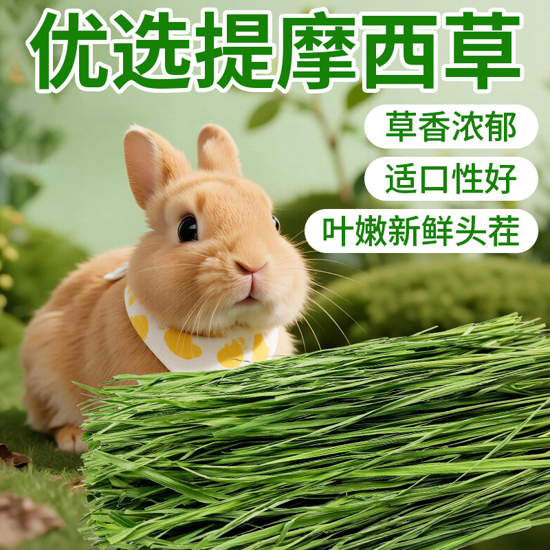 25年头茬烘干提摩西草500g批次特惠兔子荷兰猪牧草饲料干草包邮