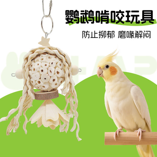 鹦鹉啃咬玩具挂串磨嘴解闷松果
