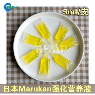 马卡黄水 日本进口Marukan 马卡营养强化液 宠物营养水 5ml 单支装