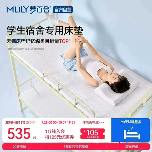单人记忆棉棉租房专用海绵软垫子