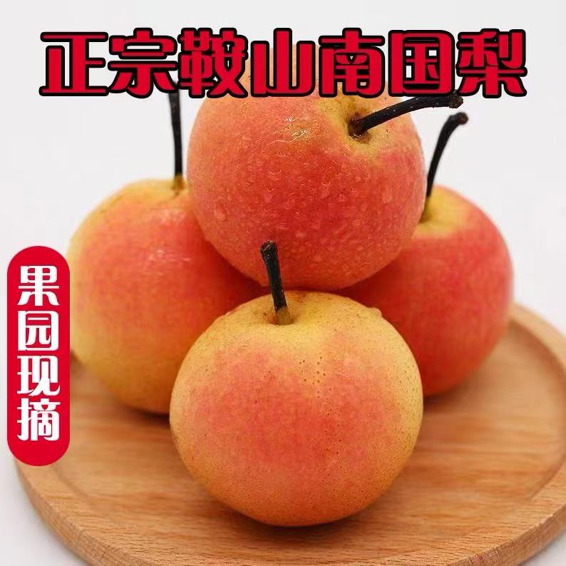 南果梨梨子秋冬必吃榜