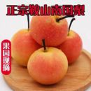 南果梨4.5斤