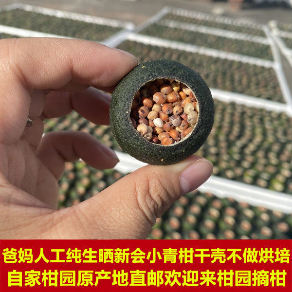 2024年广东橘子壳自产自销