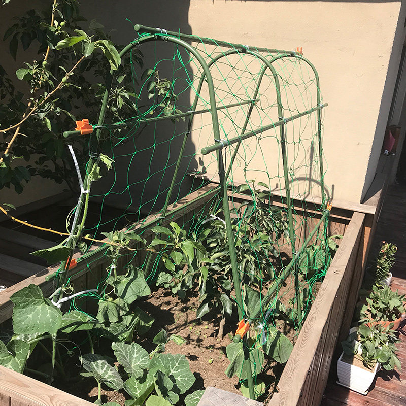 蔬菜种植箱爬藤架新款h型蔷薇黄瓜爬架家庭庭院种菜爬藤架套装