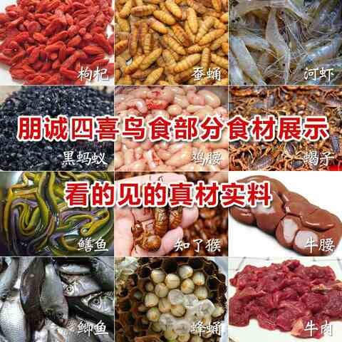 朋诚鸟食坊四喜鸟食饲料支渣雀波仔大唱壮膘提性打彩四喜鸟食饲料