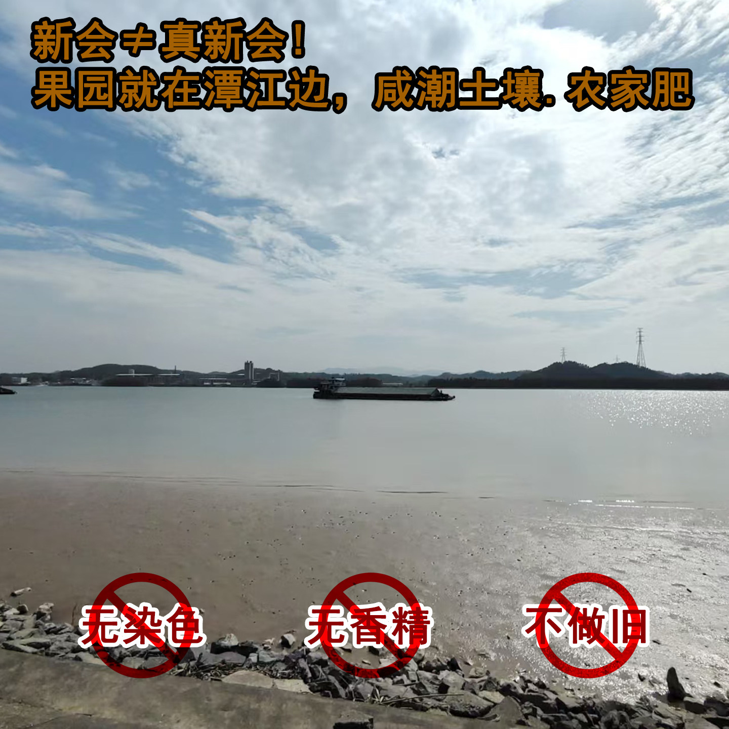 厚土正养精选新会陈皮