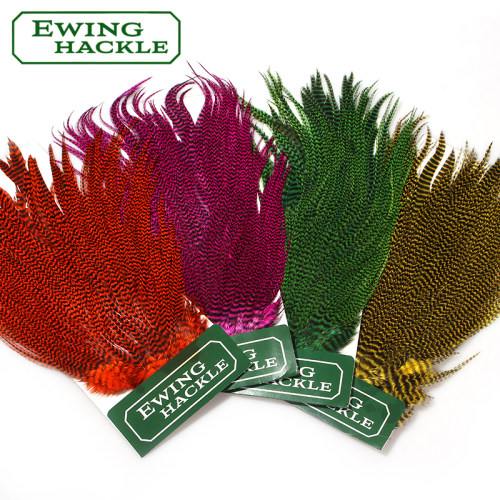 EWing整张蓑羽干蝇饰带湿蝇绑制