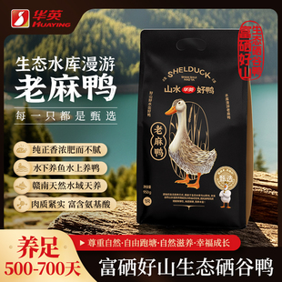华英赣南500天水养生态富硒甄选老麻鸭950g肉质紧实煲汤老鸭