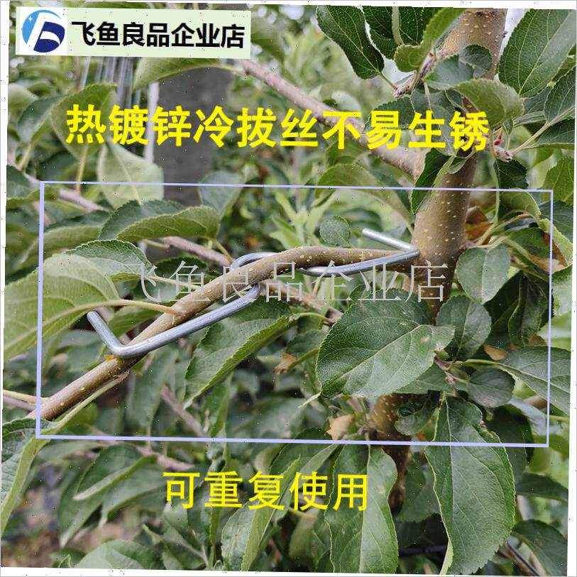 果树拉枝器园林压弯盆景造型固y定支架多功能开角器苹果树梨树SM,