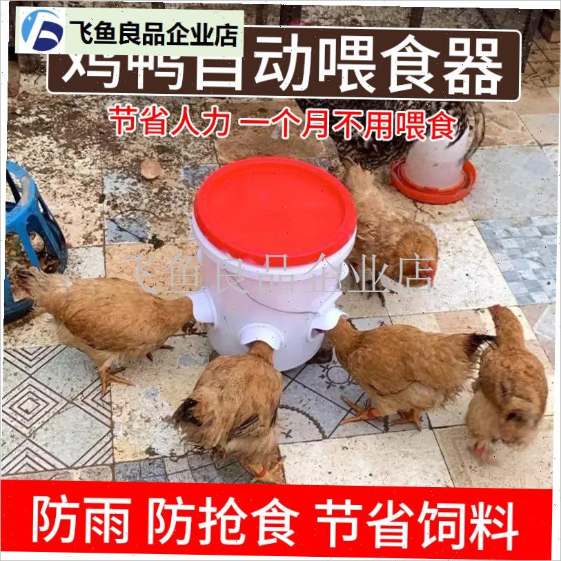喂鸡食槽自动f喂食器家禽下料器二合一防撒鸭鹅鸽饲料桶喂鸡食神,