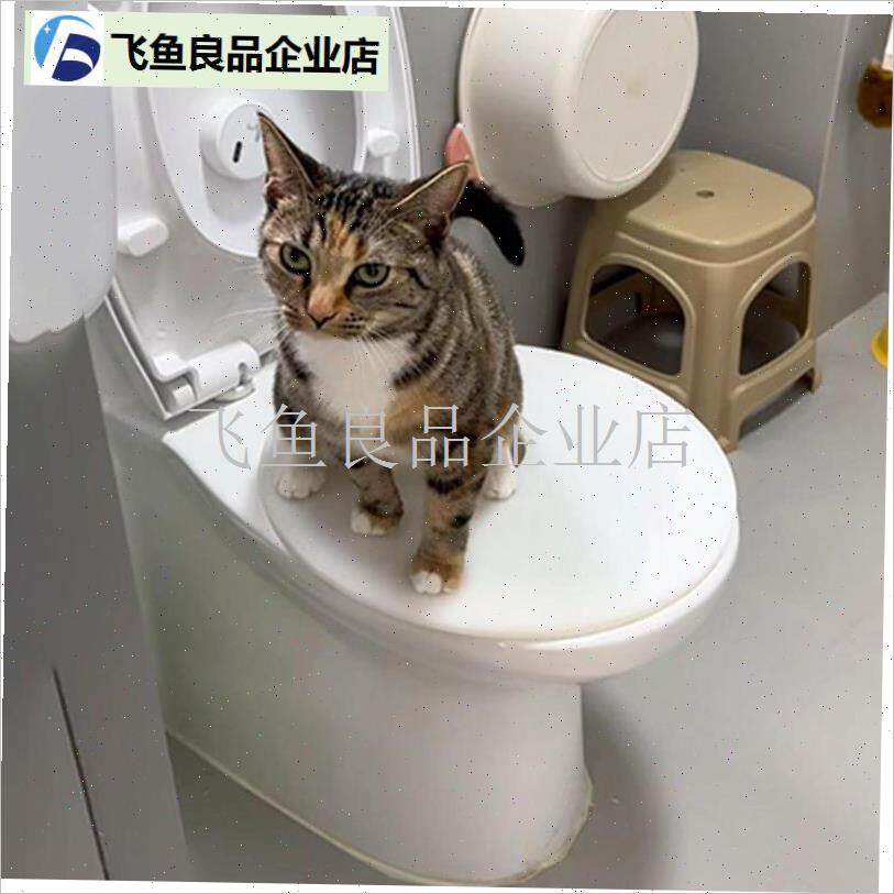 宠物开放式c马桶圈猫狗厕所训练器小型犬猫咪蹲坑如厕马桶坐便垫,