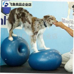 AVC犬狗专用健身DONUT甜x甜圈球复健康复训练核心肌肉萎缩后肢力