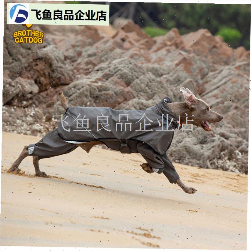 狗狗雨衣新款f宠物雨披四脚防水衣服大型犬中型犬金毛防脏雨服成,