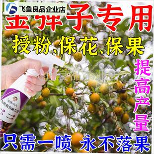 金撢子授粉药挂果保花保果防落果坐果精神器膨T大生根肥料老桩盆,
