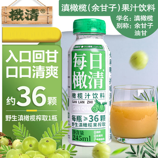 清润良料 云南特产滇橄榄原汁橄榄汁饮料245 ml6瓶每日橄清