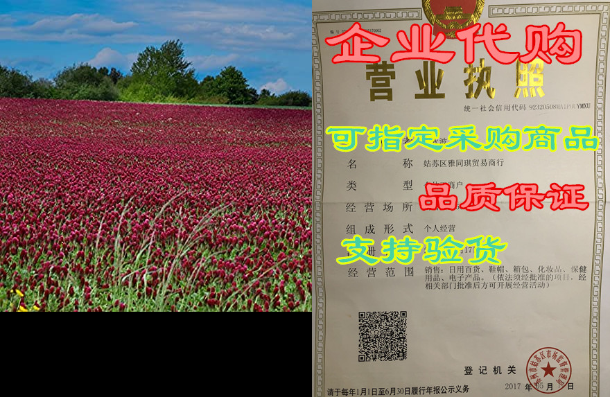 outsidepride crimson clover seed: nitro-coated, inoculate