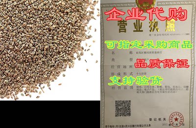 Spice Jungle Celery Seed - 4 oz.