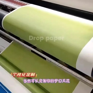 法国纹理布 双面彩色阻燃布法纹纸理法纸天花吊顶设计法理纸阻燃