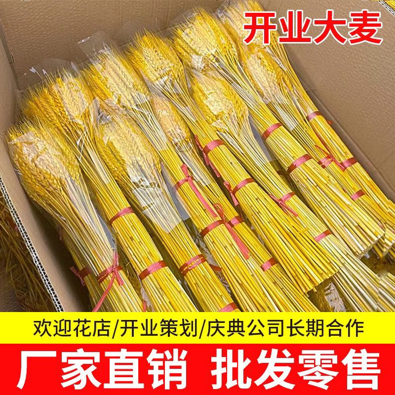 花店开业黄金麦穗花篮金色麦穗黄金大麦开业花篮天然小麦干花道具