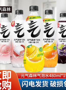 元气森林气泡水480ml*15瓶多口味