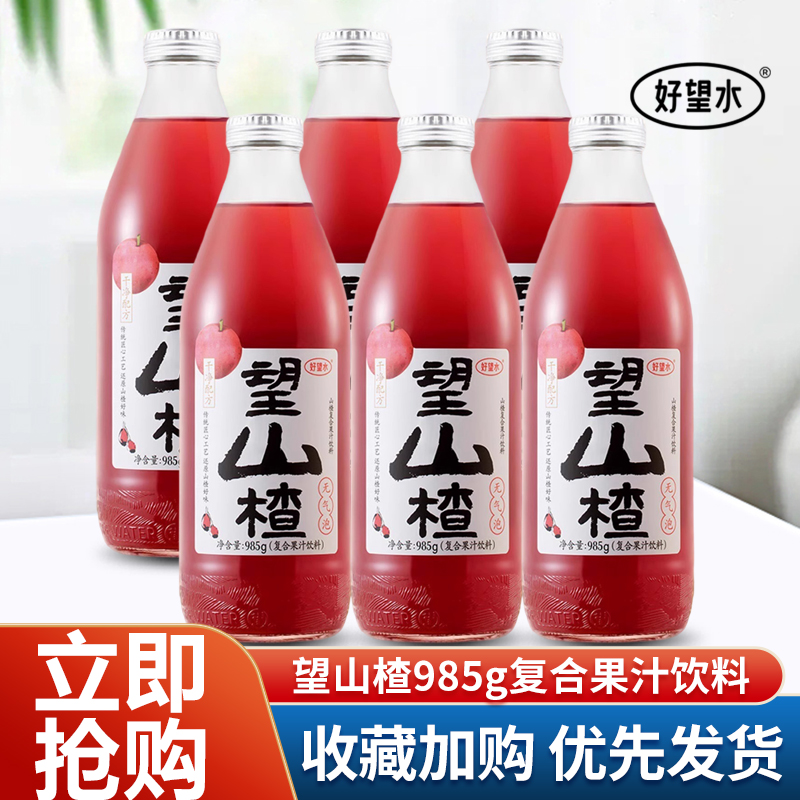 好望水望山楂985g复合果汁饮料