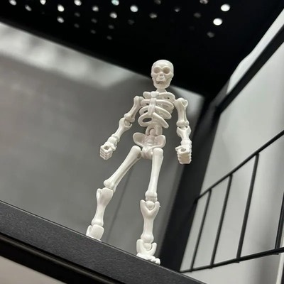 新品骷髅兵人仔关节骨节可动人偶