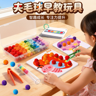 夹毛球蒙氏早教教具儿童3到6岁认知启蒙幼儿园益智专注力训练玩具