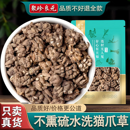 【小个头猫爪草】爪更多/更正宗!