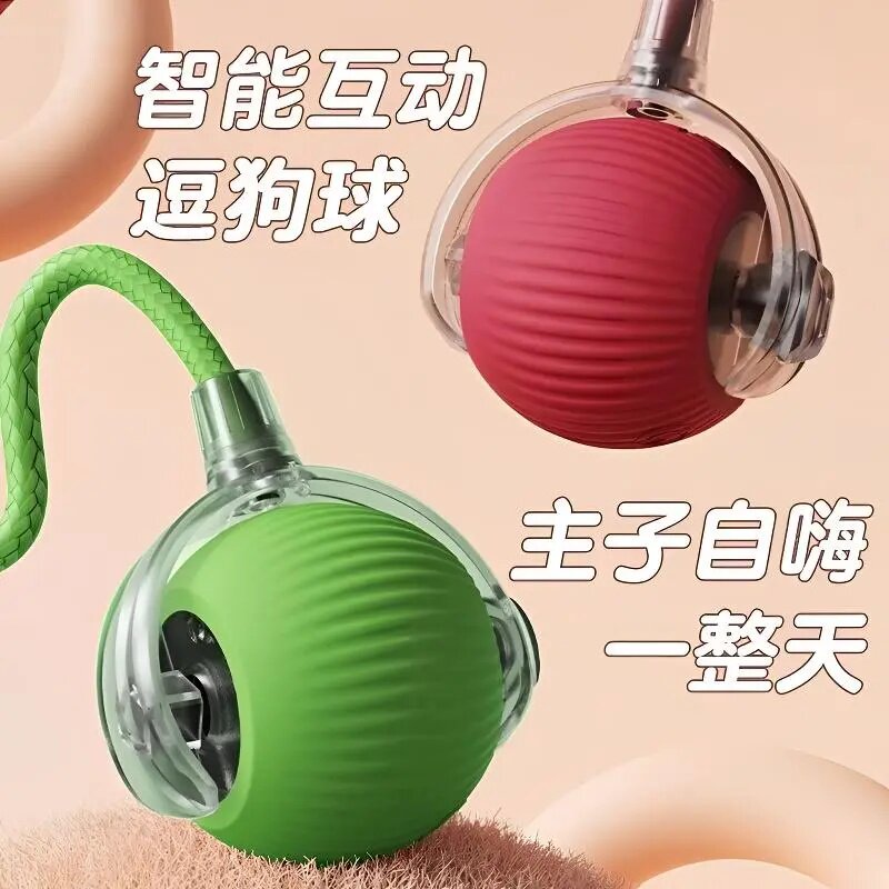 悬浮电动球泰迪比熊小型犬自嗨解闷耐咬智能逗狗遛猫狗通用玩具