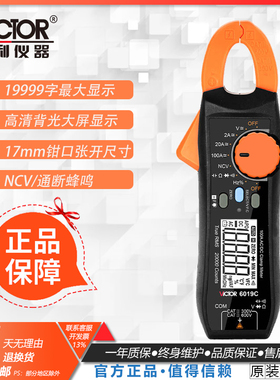 胜利钳形表VC6019C/D/E万用表钳式小巧交直流毫安真有效值钳流表