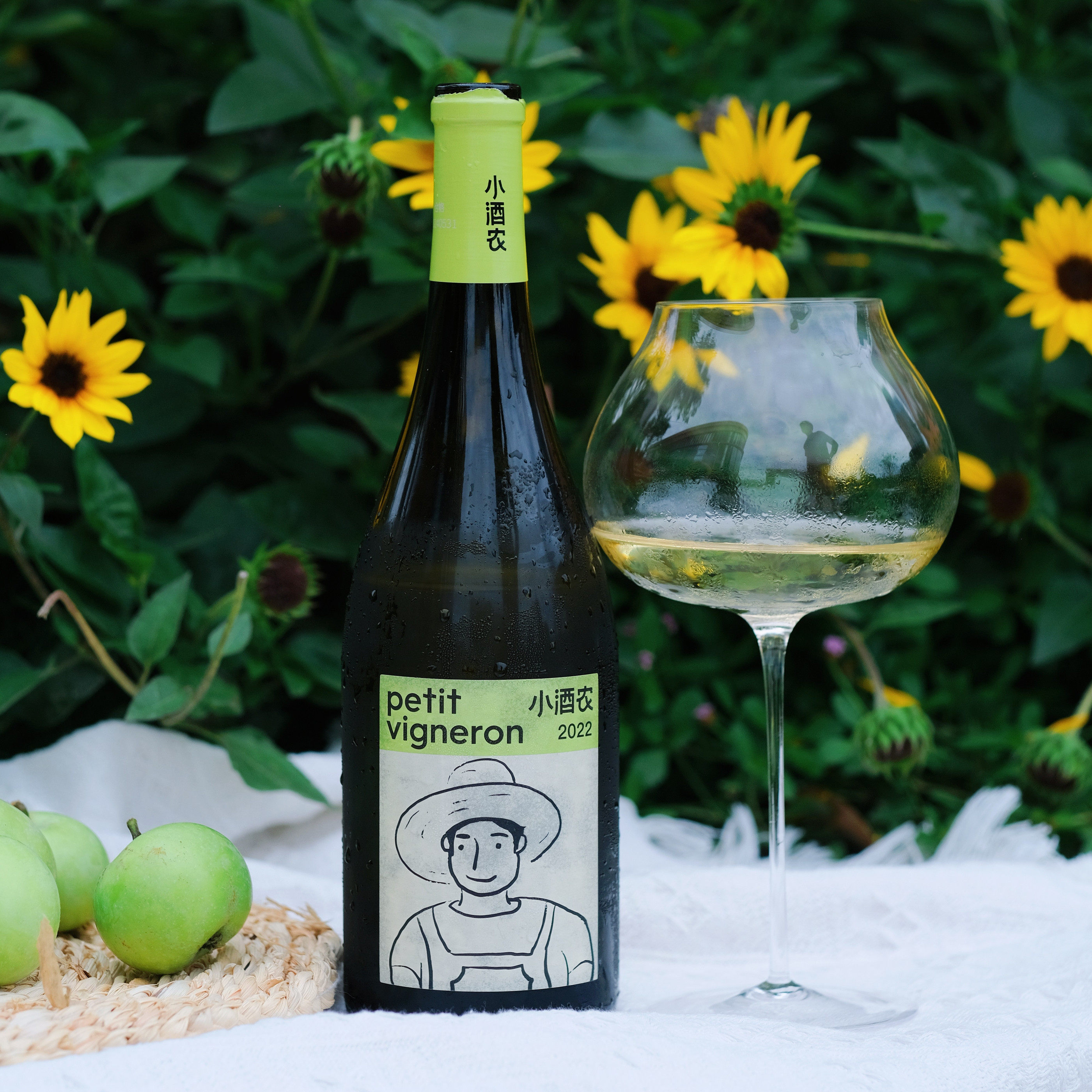年轻人的国产干白初体验！烟台小酒农霞多丽chardonnay干白葡萄酒