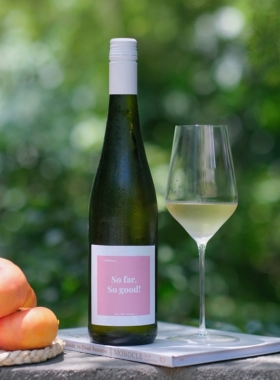 【蜂蜜绿芒 盐水菠萝】德国hees酒庄一切都好雷司令半甜白葡萄酒