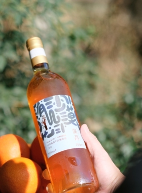 从香气到口感国产橘酒天花板！中国欧盟双有机 蒲昌白羽干白橙酒