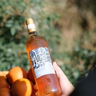从香气到口感国产橘酒天花板 蒲昌白羽干白橙酒 中国欧盟双有机