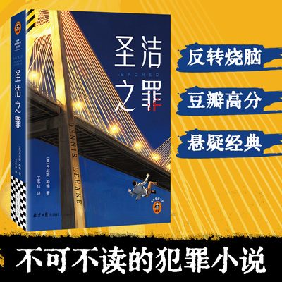 读客圣洁之罪悬疑推理小说