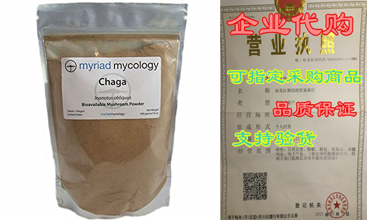 Myriad Mycology Chaga Mushroom Powder 1 Pound Bulk Bag- Ma