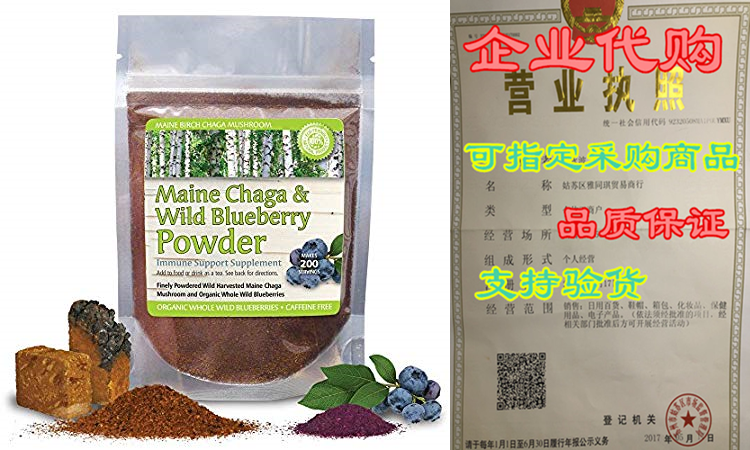 maine chaga & wild blueberry tea powder, makes over 200