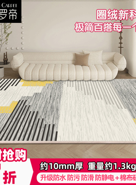 轻奢地毯客厅沙发毯北欧现代卧室床边毯家用满铺大面积茶几垫免洗