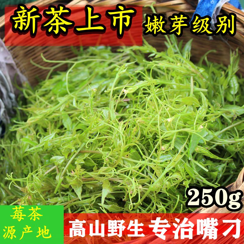 张家界长寿村黄酮特级龙须嫩芽尖